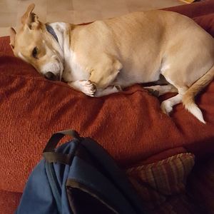 Meet your Posher, Alison